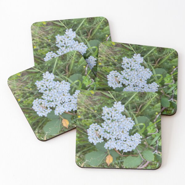 Item preview, Insect on White Achillea Grandifolia Flowers designed and sold by Sinemathk.