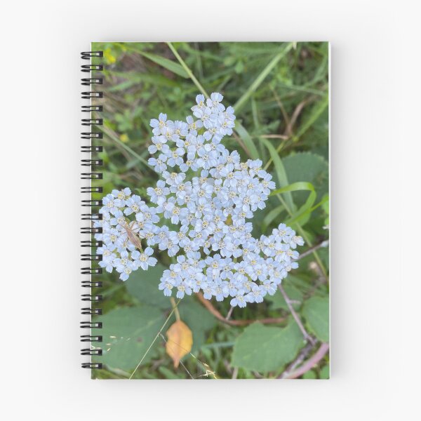 Item preview, Insect on White Achillea Grandifolia Flowers designed and sold by Sinemathk.