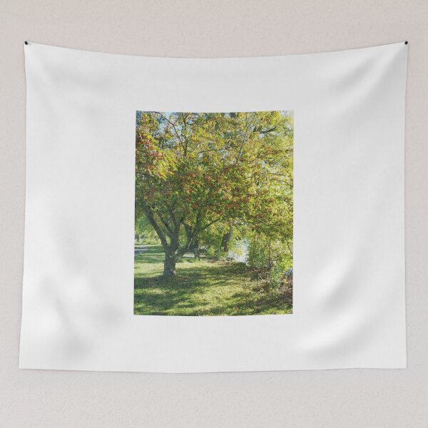 Item preview, Tranquility. designed and sold by TJS-Photography.