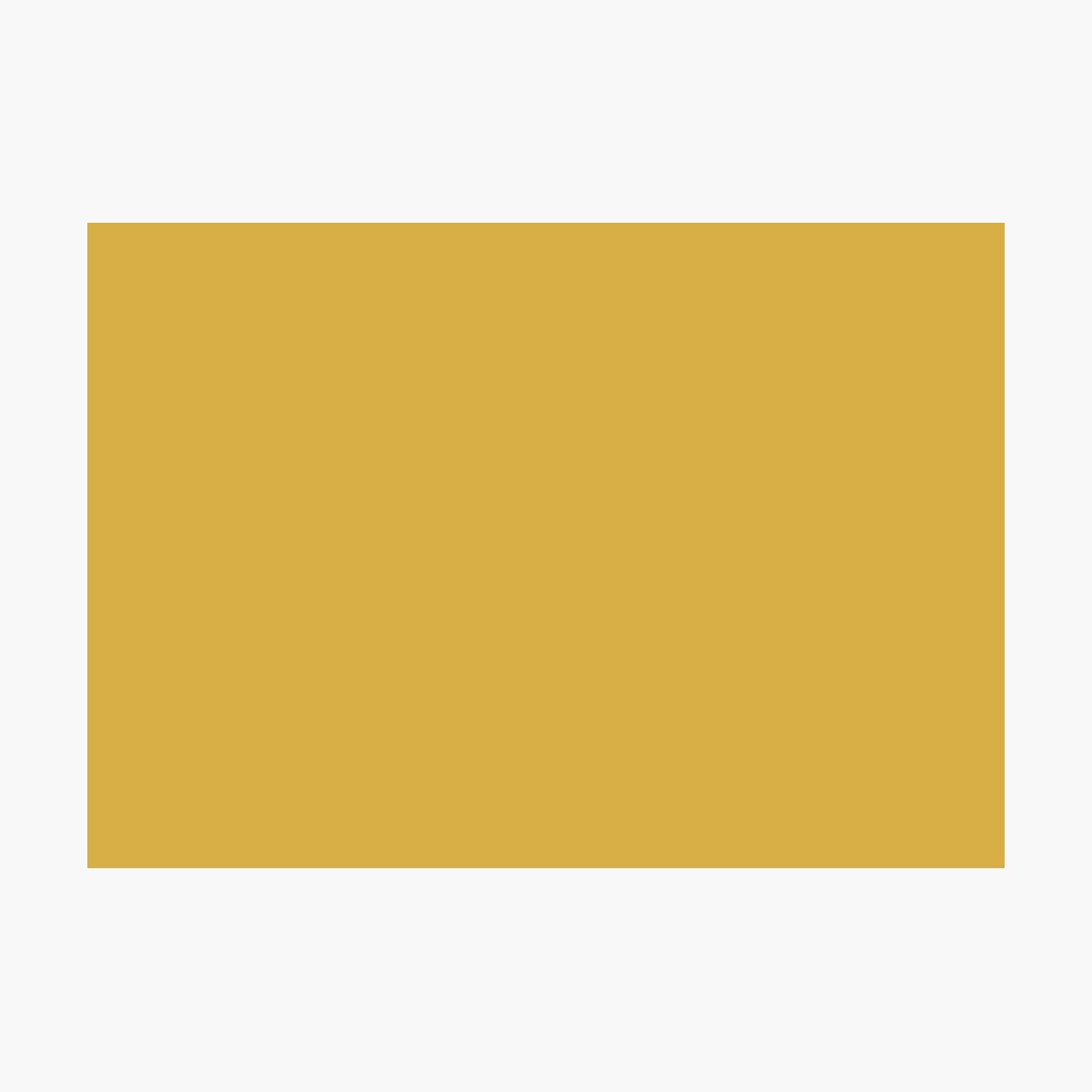 Spicy Mustard 14-0952 TCX | Pantone | Color Trends | Fall Winter 2016 | Solid Colors | Fashion Colors | Photographic Print