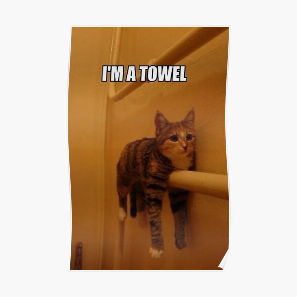 Im A Towel Funny Cat Meme Poster For Sale By Pusla Redbubble 5486