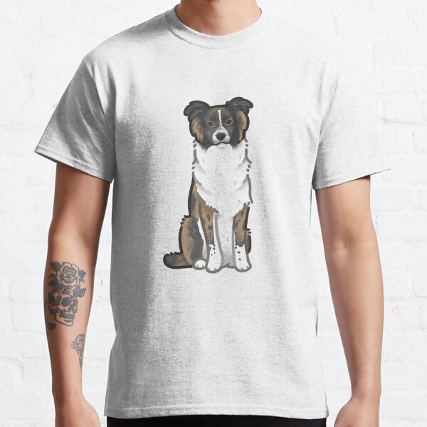 mezcla de border collie boxer blanco