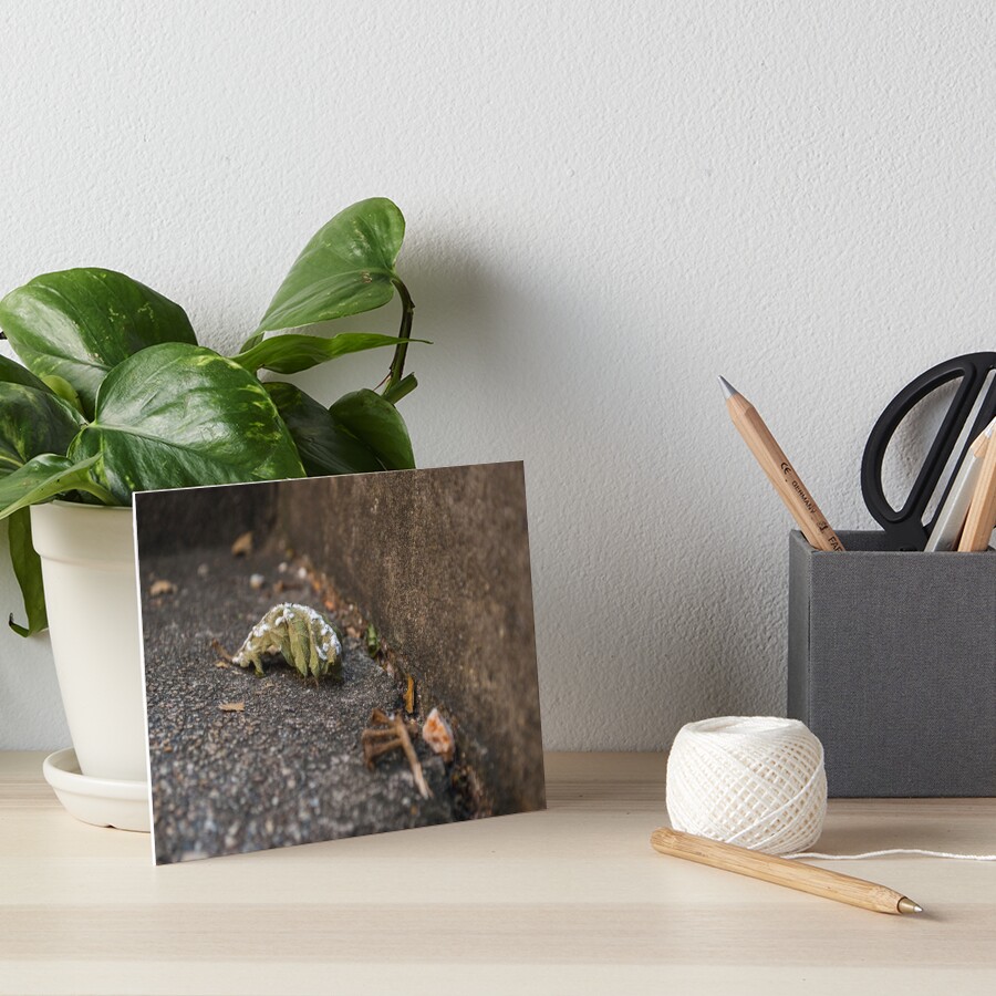 Item preview, Art Board Print designed and sold by MagdaLabuda.