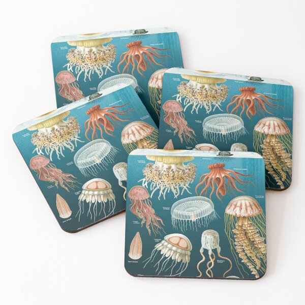 Item preview, Vintage Oceanography Jellyfish designed and sold by Burnerl.