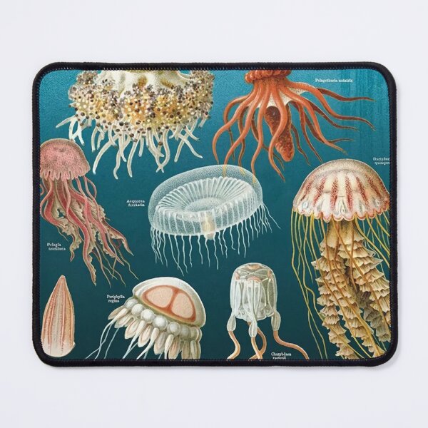 Item preview, Vintage Oceanography Jellyfish designed and sold by Burnerl.