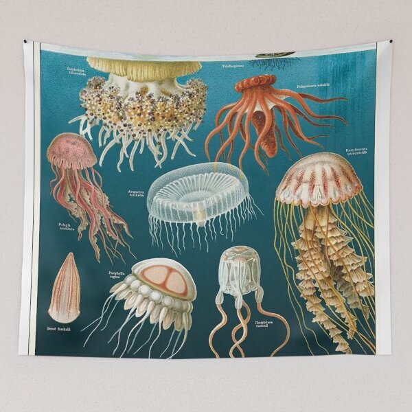 Item preview, Vintage Oceanography Jellyfish designed and sold by Burnerl.