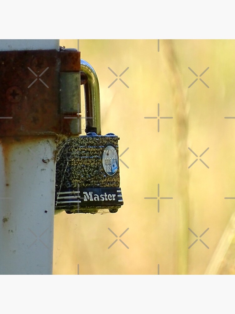 Lock by PicsByMi