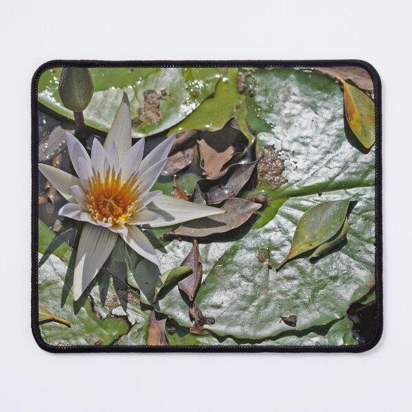 Item preview, Days Like This designed and sold by Nira Dabush.
