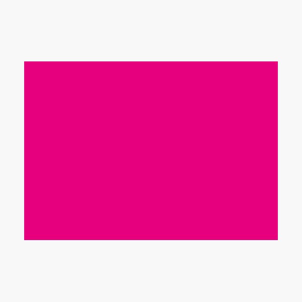 Hot Pink | Solid Color | Photographic Print
