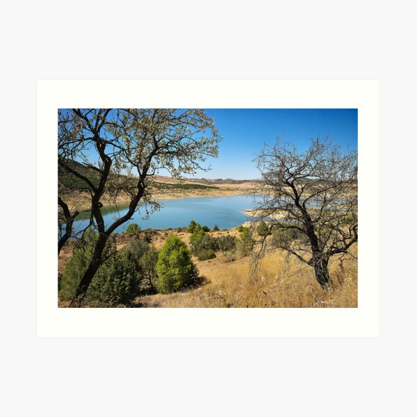 Two Trees Art Print