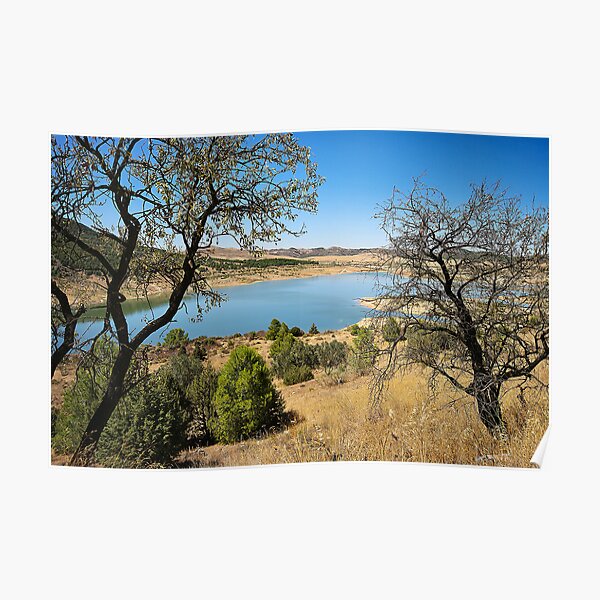 Two Trees Poster