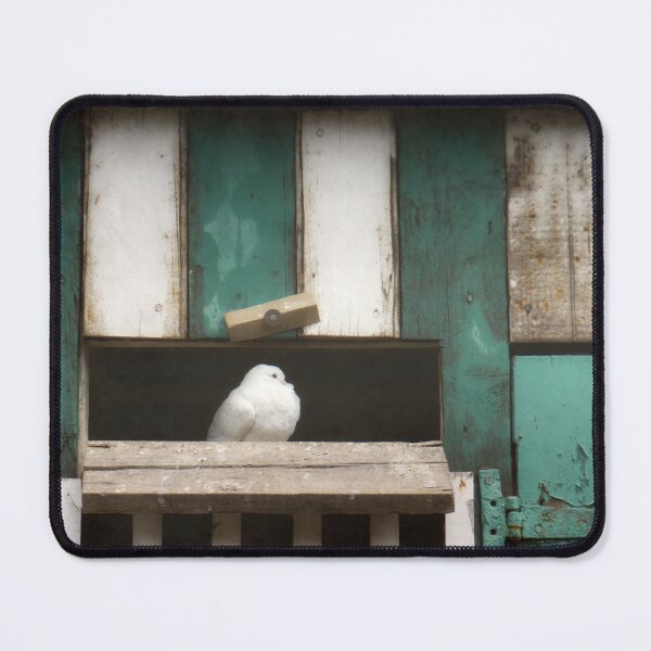 Item preview, The Homing Dove designed and sold by rosedew.