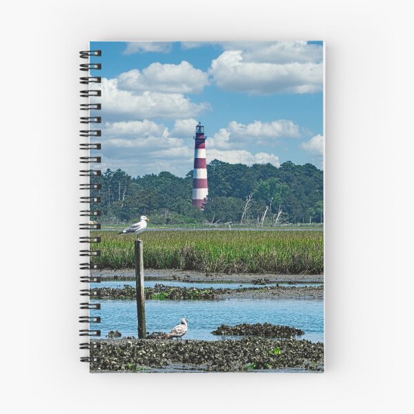 Item preview, Assateague Lighthouse designed and sold by ShorelineImages.