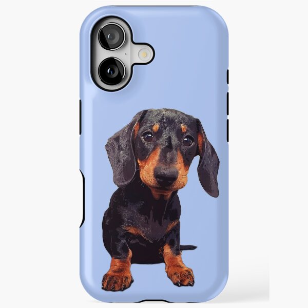 Dachshund Black and Tan Puppy