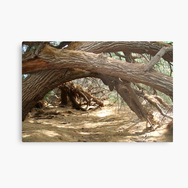 Path to nowhere.... Metal Print