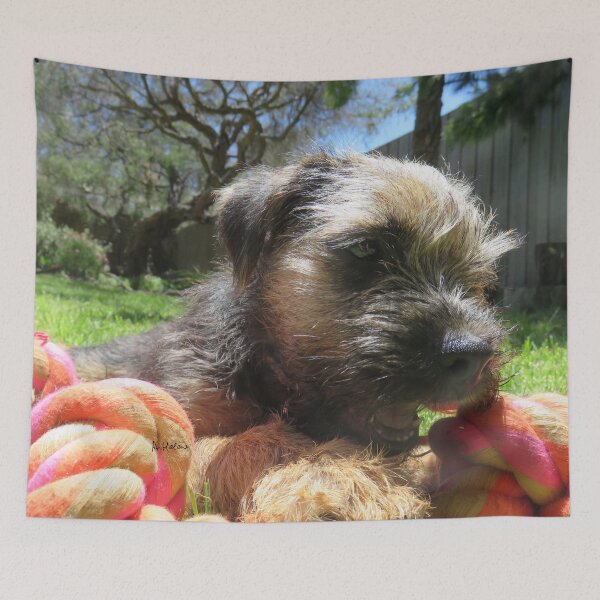 Item preview, Baby pet designed and sold by AHELENE.