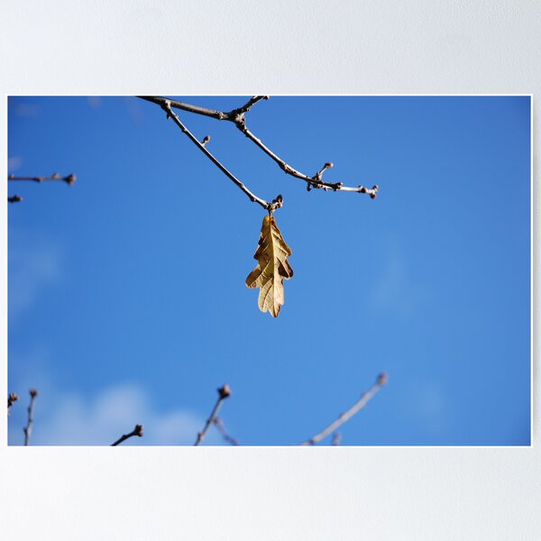 Item preview, Hanging on.. designed and sold by Mark Bateman.