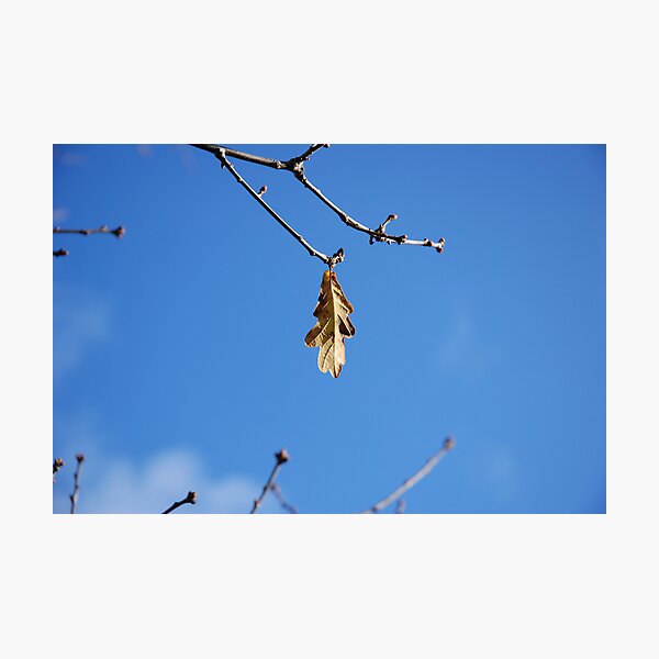 Item preview, Hanging on.. designed and sold by Mark Bateman.