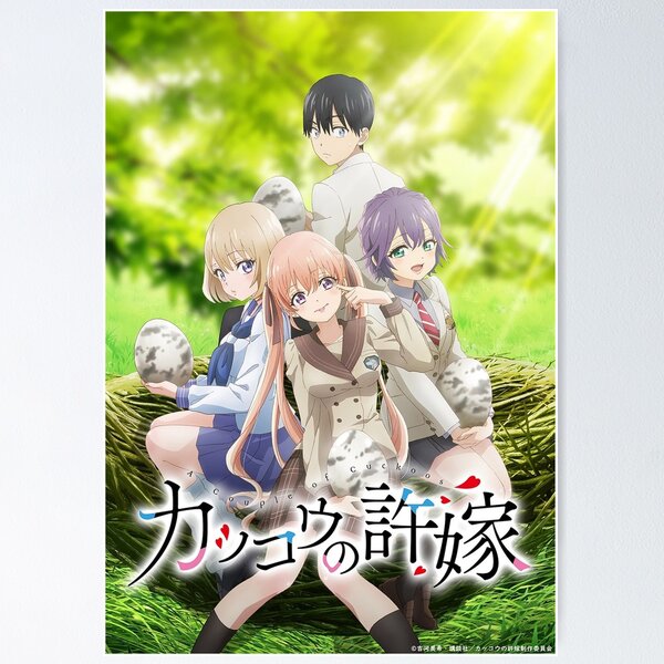 Kakkou no Iinazuke  Light Novel 