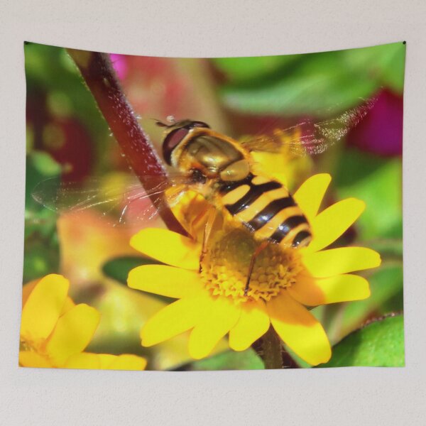 Item preview, Hover fly on a Daisy designed and sold by AnnDixon.