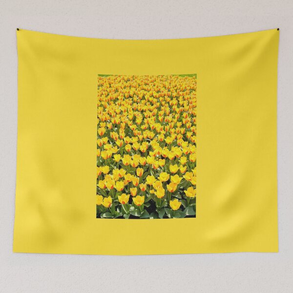 Item preview, Plenty red and yellow Stresa tulips designed and sold by Arletta Cwalina.