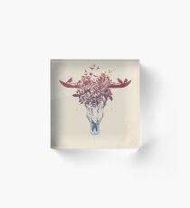 Dead summer Acrylic Block