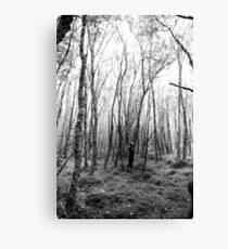 Lost in the forest Canvas Print