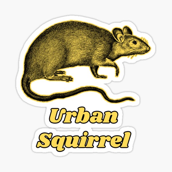 Vista previa del artículo con la obra «Urban Squirrel - Patrones de ratas para camisetas, pegatinas y otros accesorios», diseñado y vendido por Ridiculam Toga.