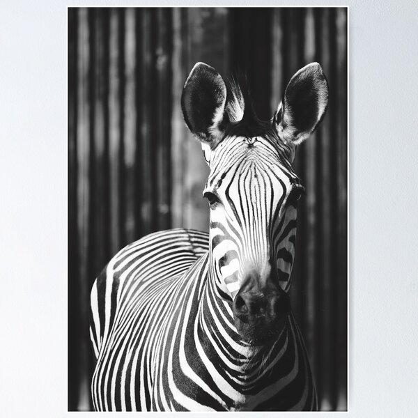 Item preview, Zebra African Animal Portrait in Black and White designed and sold by CarolinaReina.