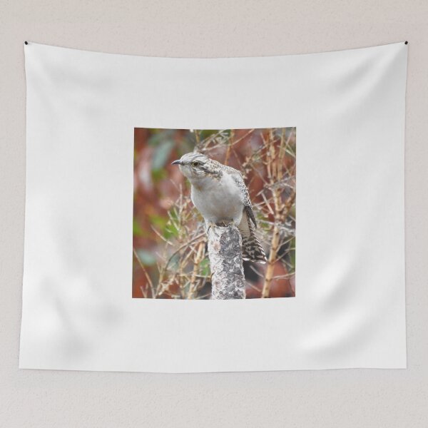 Item preview, AM I  GOING CUCKOO 1 designed and sold by Rocksygal52.