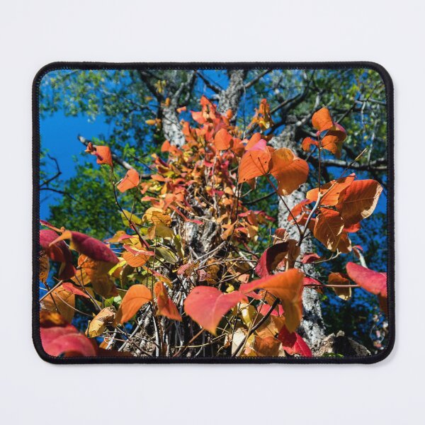 Item preview, Down comes the cascade of red designed and sold by Joel Bader.
