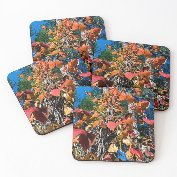 Item preview, Down comes the cascade of red designed and sold by Joel Bader.