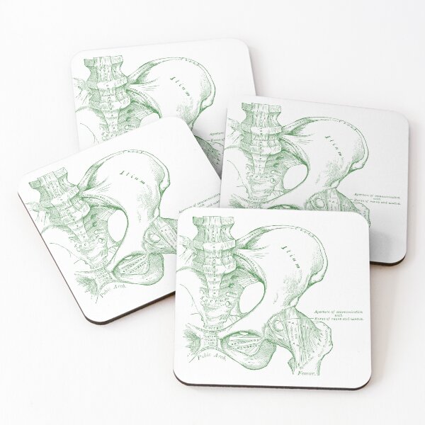 Item preview, Antique Anatomy Human Pelvis  designed and sold by pnand.