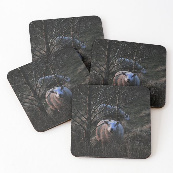 Item preview, Sheep eating designed and sold by GG-Photography-.