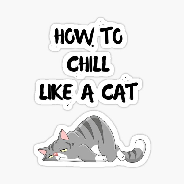 how-to-chill-like-cat-cutecats-funny-cats-cool-cats-and-cute