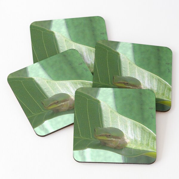 Item preview, Fab Frog designed and sold by KazM.