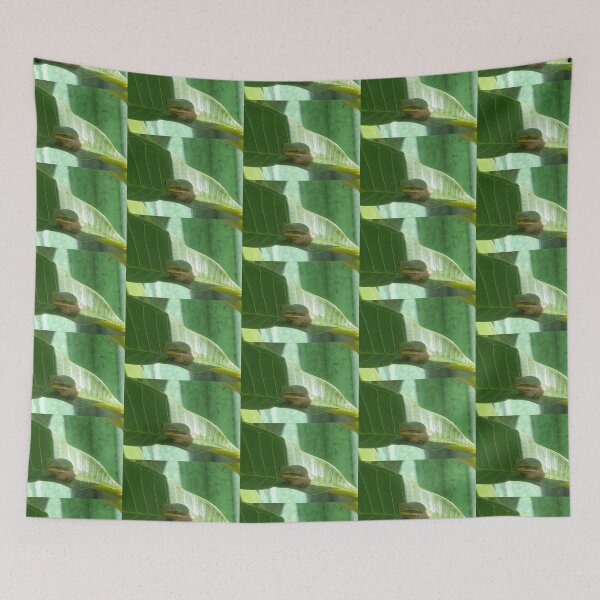 Item preview, Fab Frog designed and sold by KazM.
