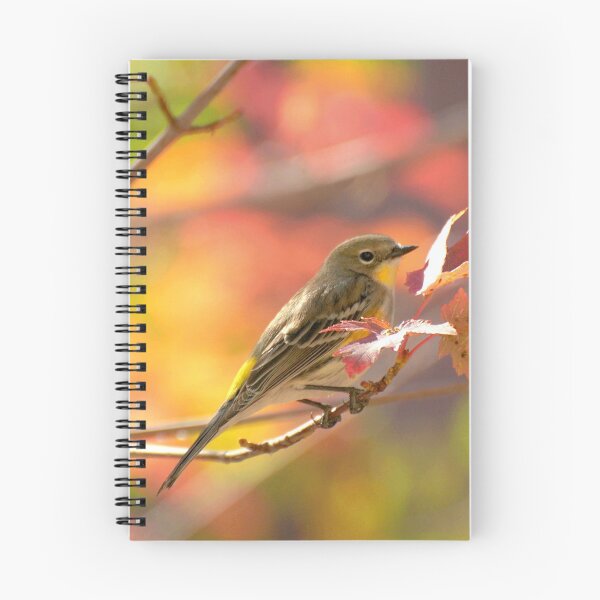 Item preview, Autumn Yellow Rumped Warbler designed and sold by K D Graves Photography.