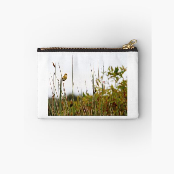 Artikelvorschau, Golden-Kopf Cisticola entworfen und verkauft von Robert Ashdown.