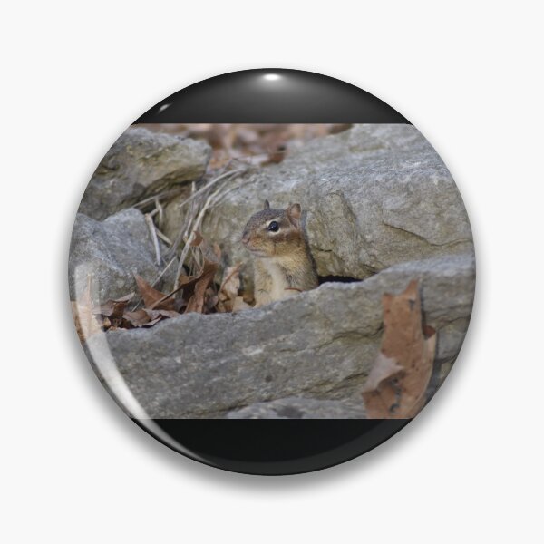 Item preview, Chipmunk designed and sold by MarieDarcy97.