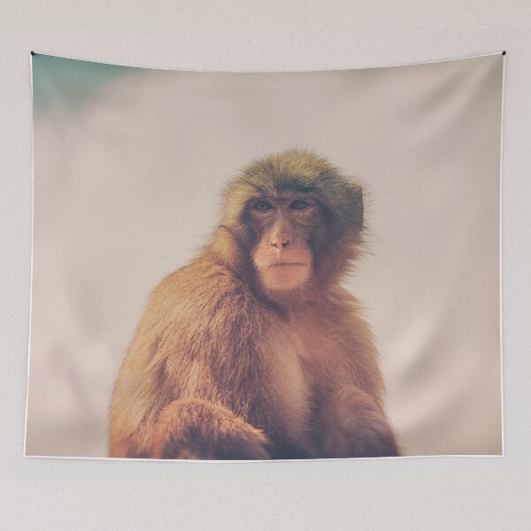 Item preview, APE II designed and sold by hraunphoto.