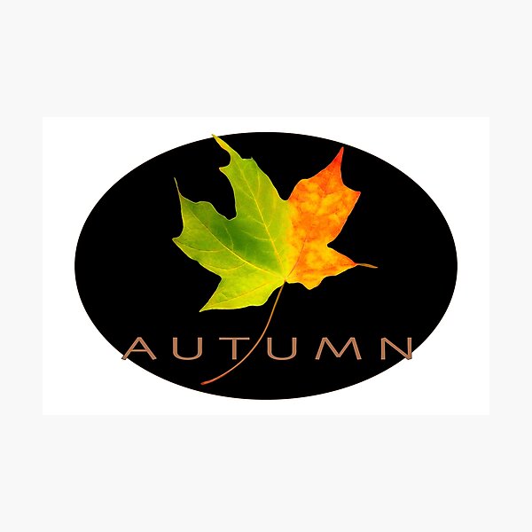 Item preview, Autumn 2 designed and sold by wallacegarrison.