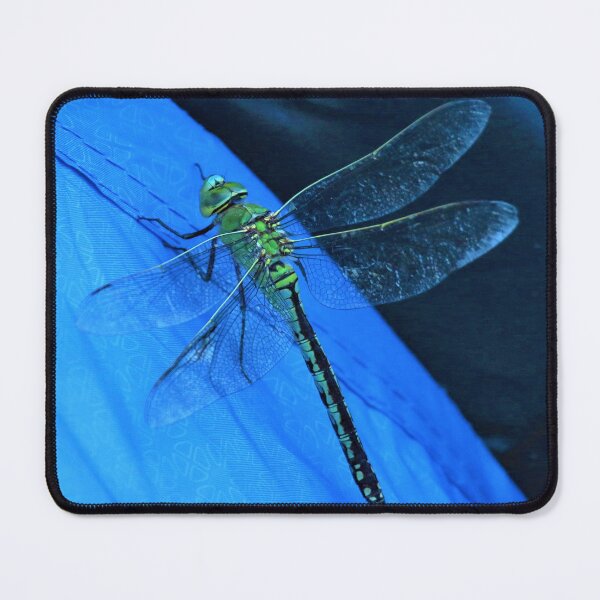 Item preview, Docile Dragonfly designed and sold by Fearless-Fox.
