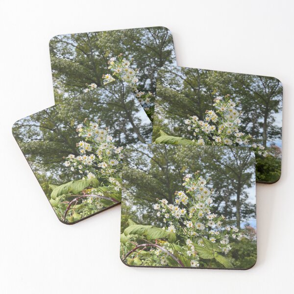 Item preview, The Last Asters  designed and sold by Stephanie Fay.