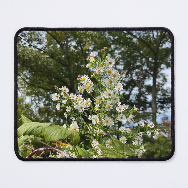 Item preview, The Last Asters  designed and sold by Stephanie Fay.