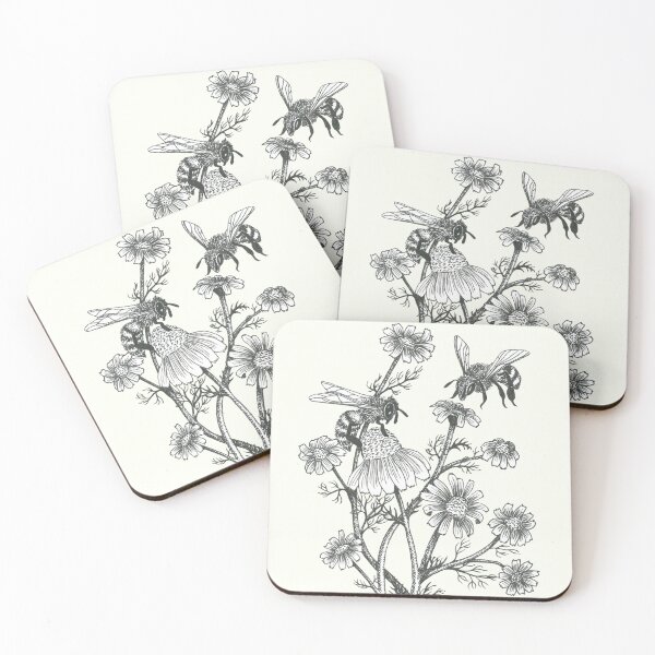 bees and chamomile on offwhite background Coasters (Set of 4)