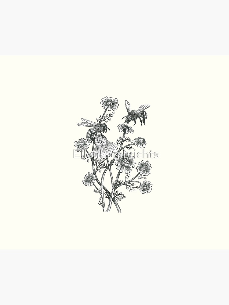 bees and chamomile on offwhite background by EllenLambrichts