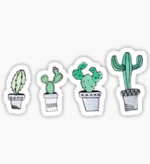 Cactus Sticker