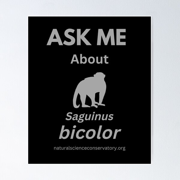 Item preview, Ask Me About Saguinus bicolor (Pied Tamarin) designed and sold by Discovered.
