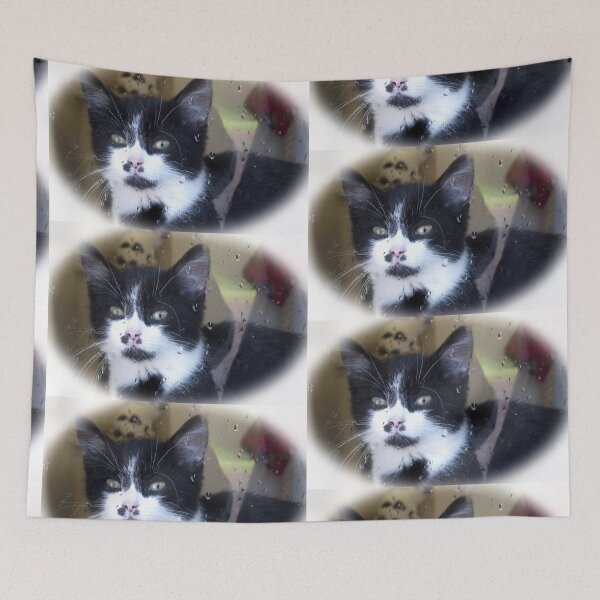 Item preview, But Kitty it's Wet Outside............. Devon UK designed and sold by lynn carter.
